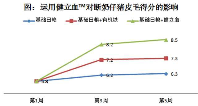 188金宝搏安卓下载猪饲料添加剂健立血对断奶仔猪皮毛的影响