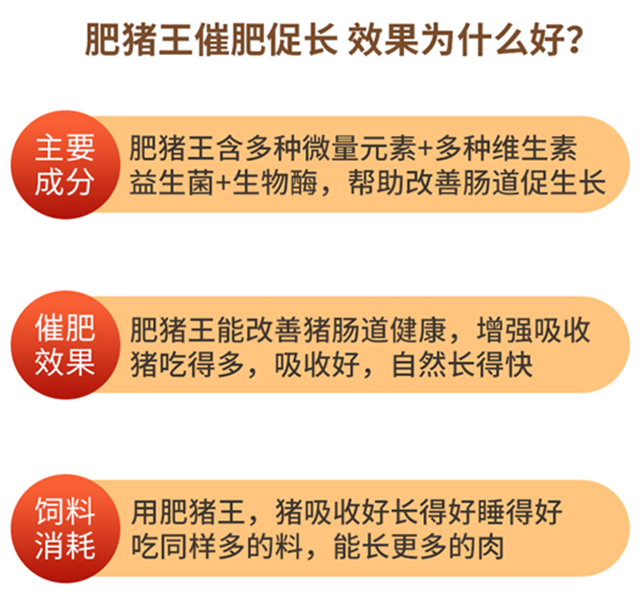 188金宝搏安卓下载-肥猪王使用效果为什么好