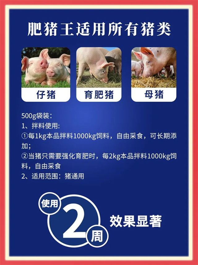 188金宝搏安卓下载-肥猪王用法