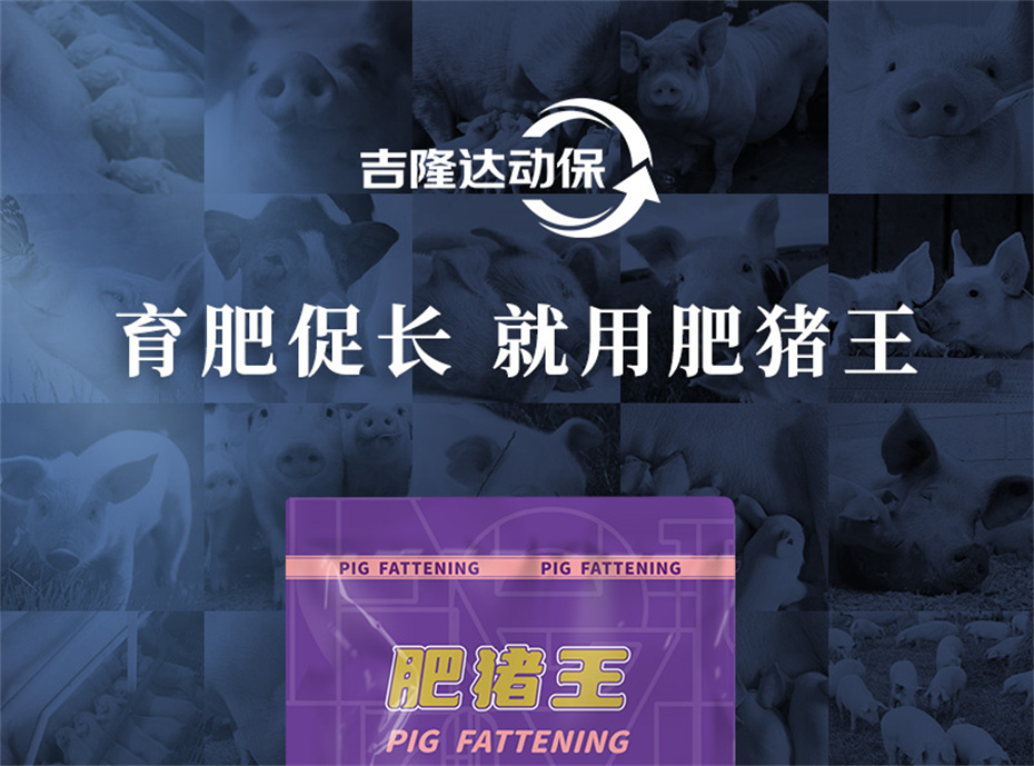 188金宝搏安卓下载动保猪饲料添加剂肥猪王产品介绍