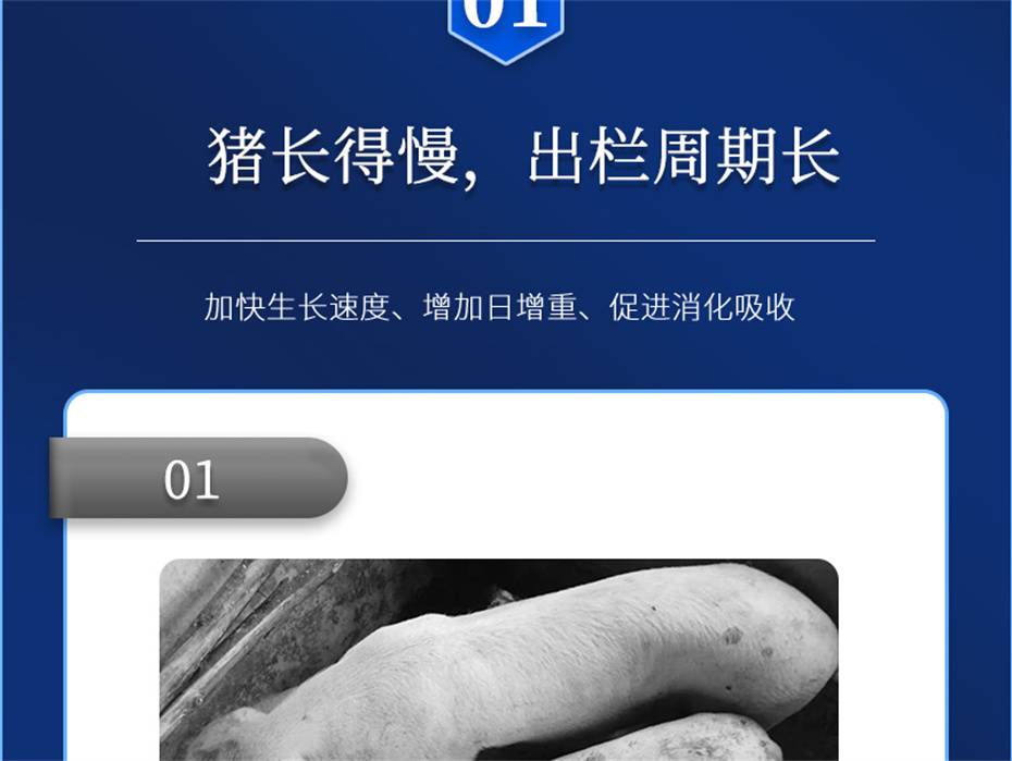 188金宝搏安卓下载动保猪饲料添加剂肥猪王产品介绍