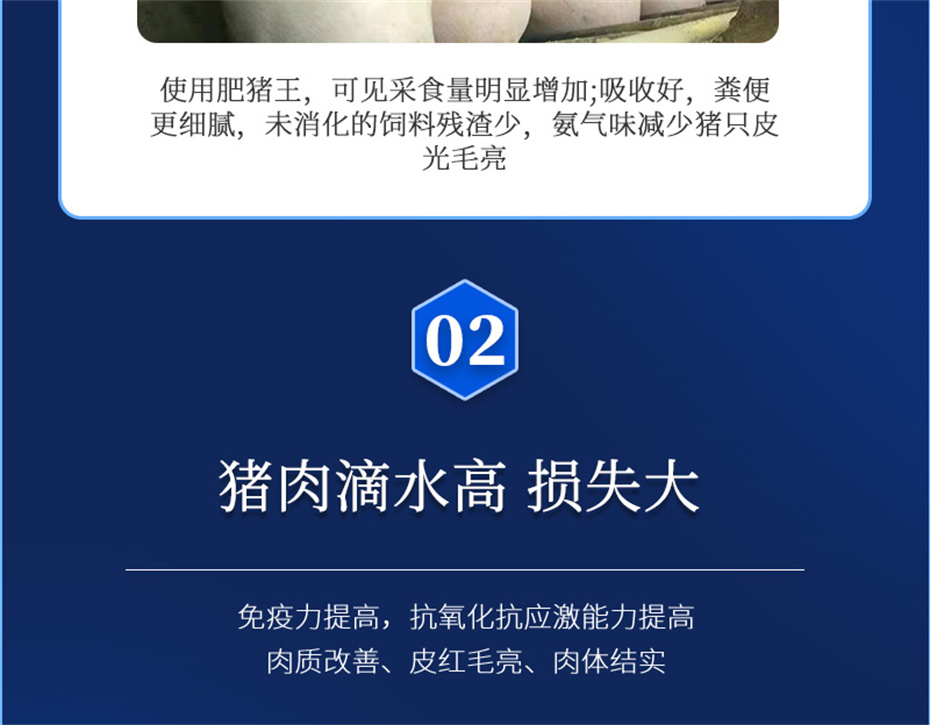 188金宝搏安卓下载动保猪饲料添加剂肥猪王产品介绍