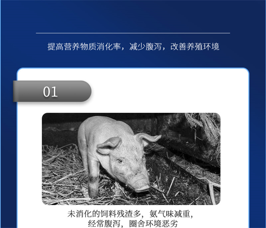 188金宝搏安卓下载动保猪饲料添加剂肥猪王产品介绍