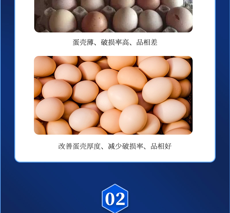 强蛋大师最新详情页_03