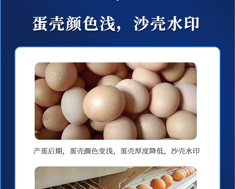 强蛋大师最新详情页_04