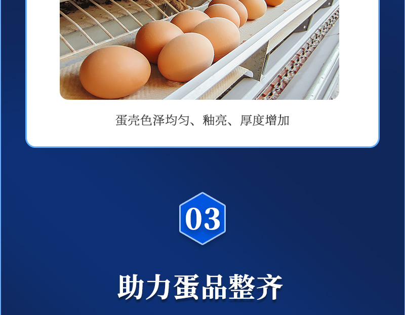 强蛋大师最新详情页_05