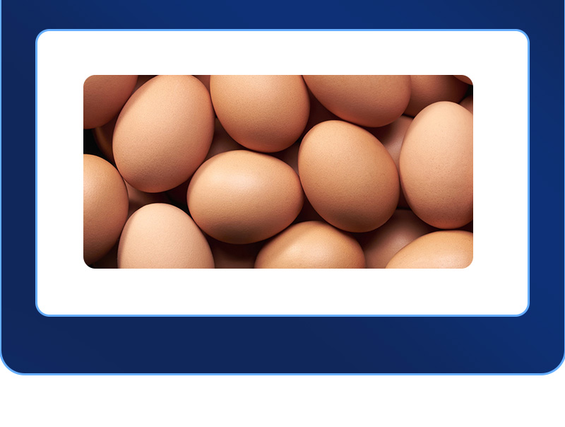 强蛋大师最新详情页_06