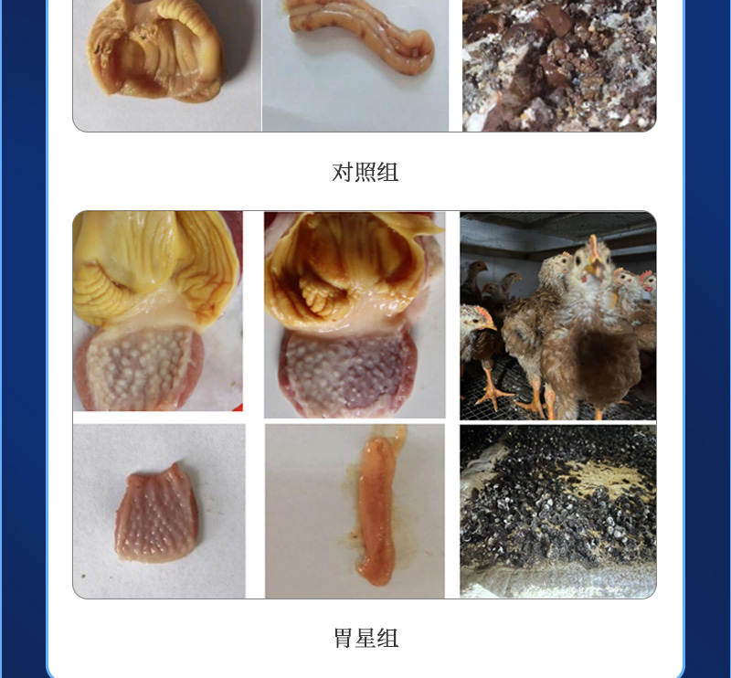 胃星最新详情页_03