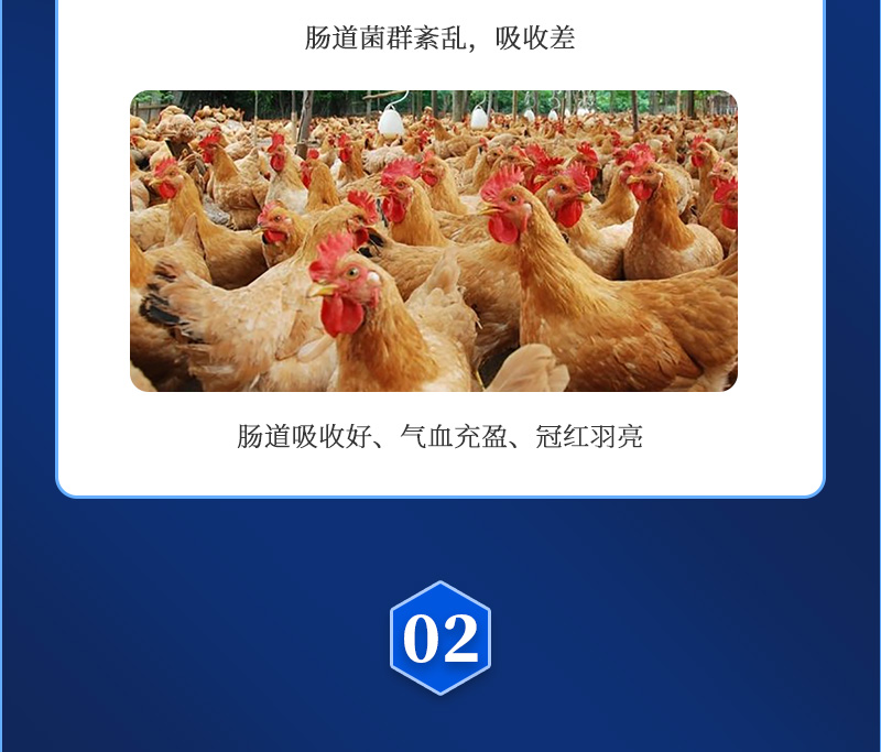 多蛋大师最新详情页_03