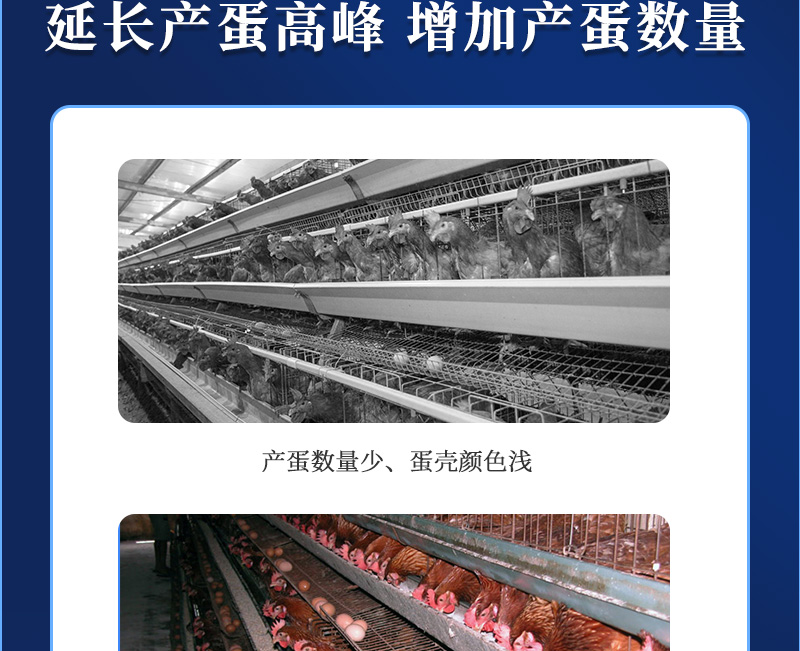 多蛋大师最新详情页_04