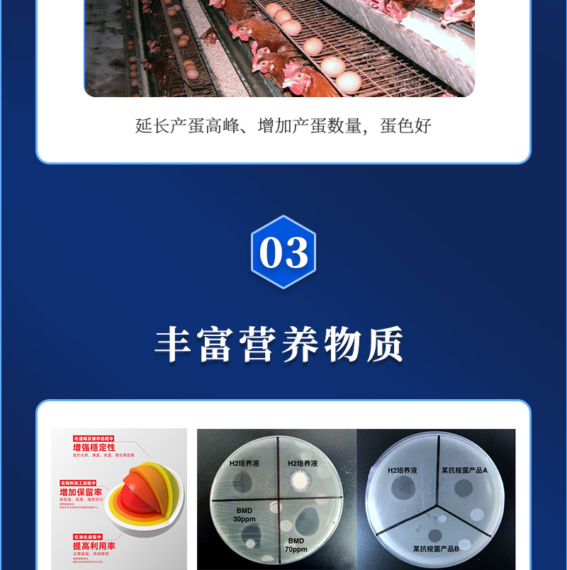 多蛋大师最新详情页_05