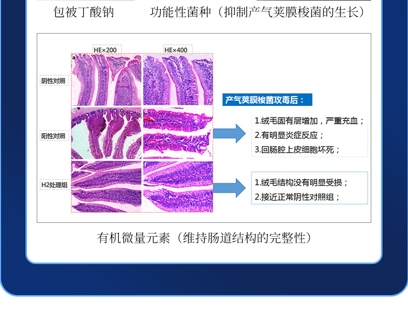 多蛋大师最新详情页_06