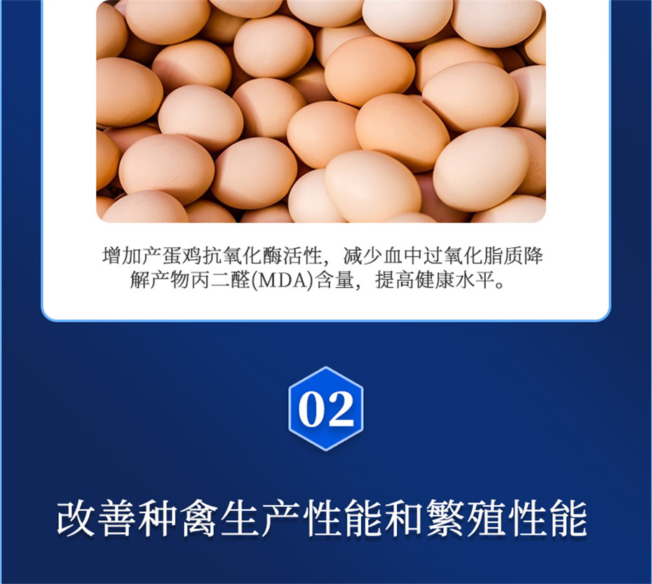 188金宝搏安卓下载动保禽饲料添加剂健立血禽产品介绍
