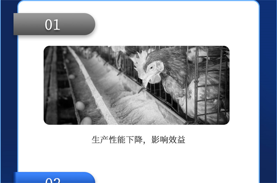 188金宝搏安卓下载动保禽饲料添加剂健立血禽产品介绍