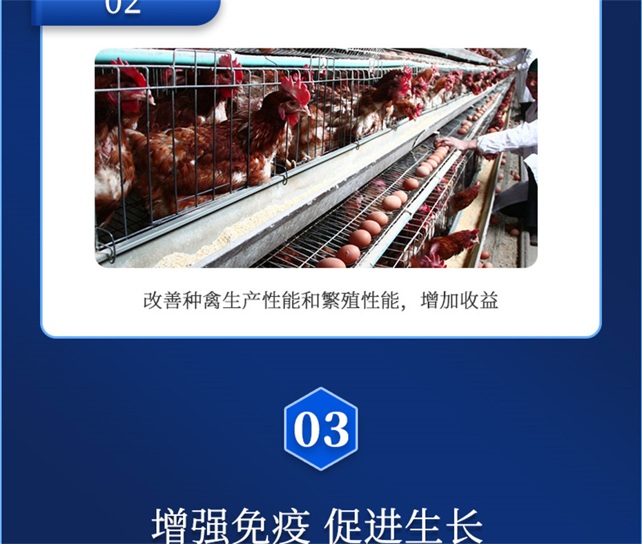 188金宝搏安卓下载动保禽饲料添加剂健立血禽产品介绍