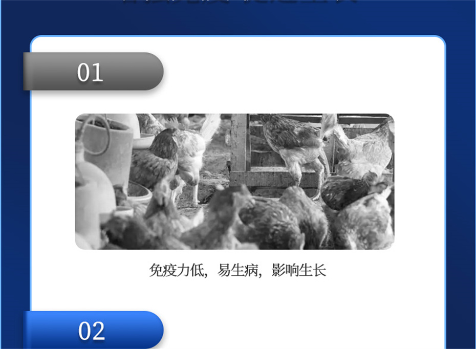 188金宝搏安卓下载动保禽饲料添加剂健立血禽产品介绍