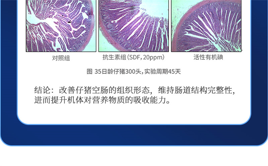 188金宝搏安卓下载动保猪饲料添加剂痢健120产品介绍