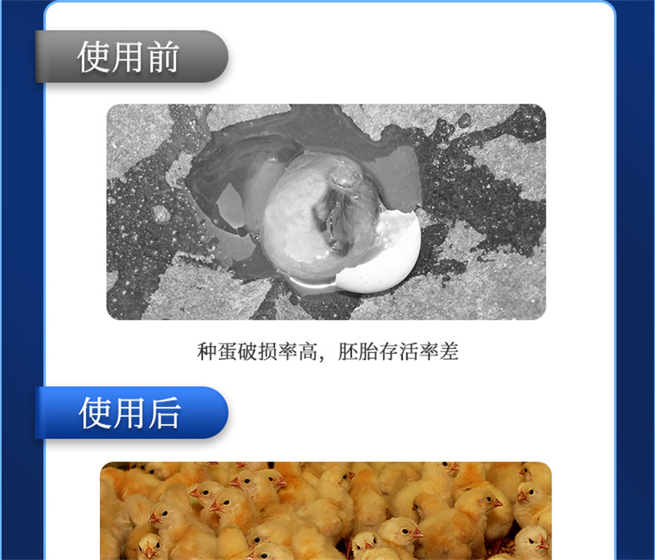 188金宝搏安卓下载动保禽饲料添加剂孵健宝产品介绍