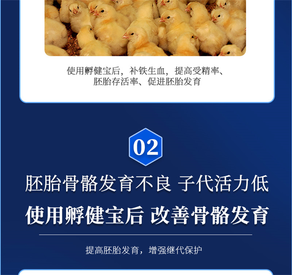 188金宝搏安卓下载动保禽饲料添加剂孵健宝产品介绍