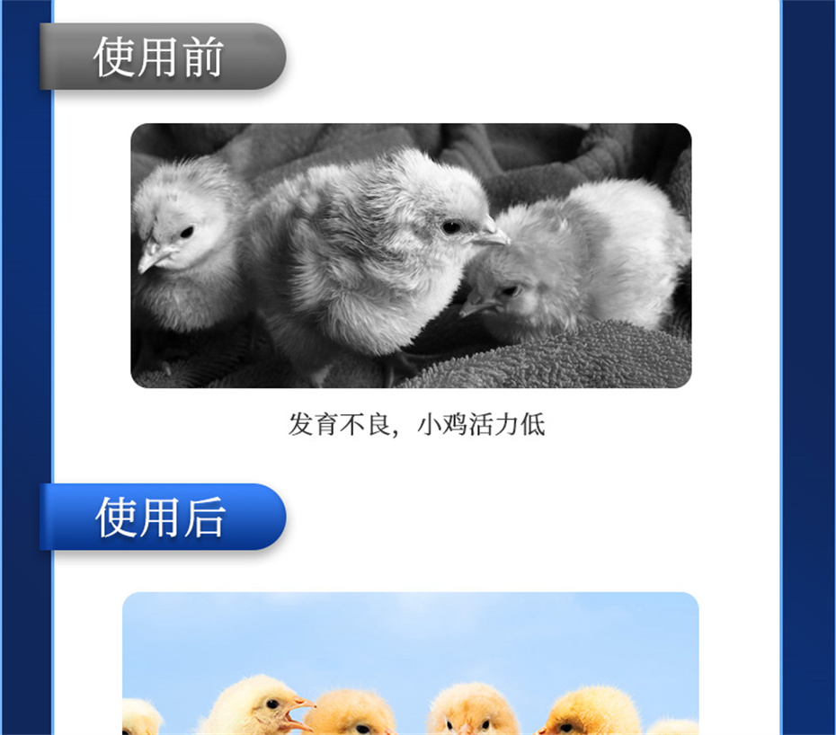 188金宝搏安卓下载动保禽饲料添加剂孵健宝产品介绍