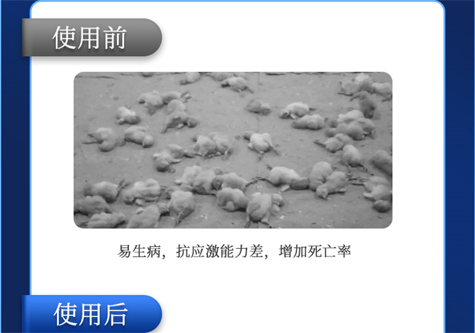 188金宝搏安卓下载动保禽饲料添加剂孵健宝产品介绍