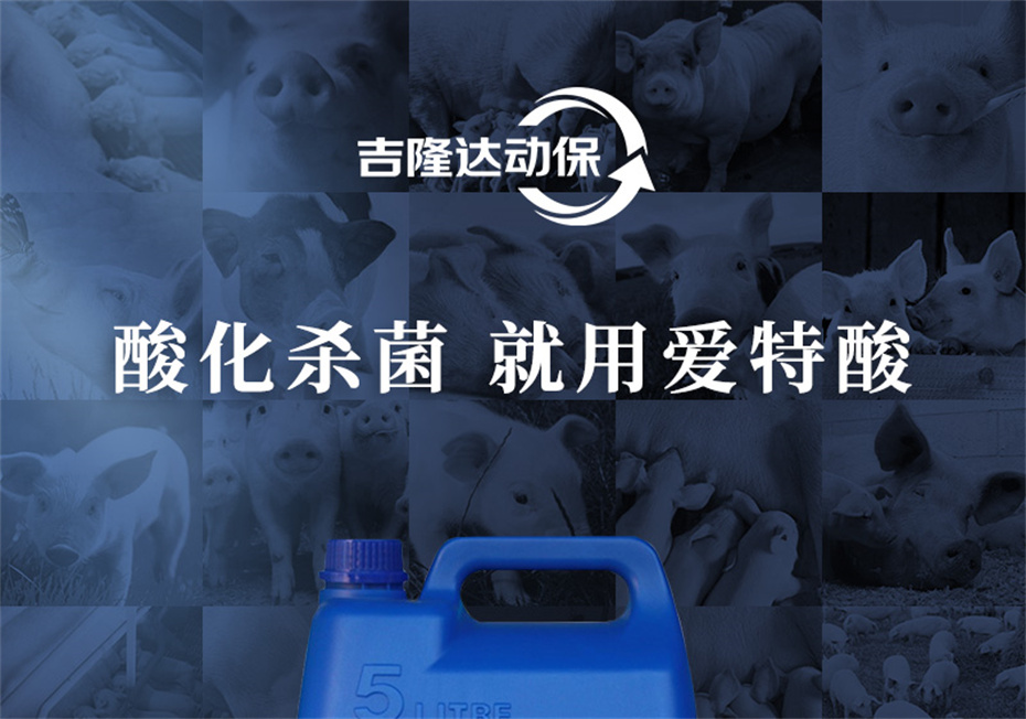 188金宝搏安卓下载动保猪饲料添加剂爱特酸产品介绍