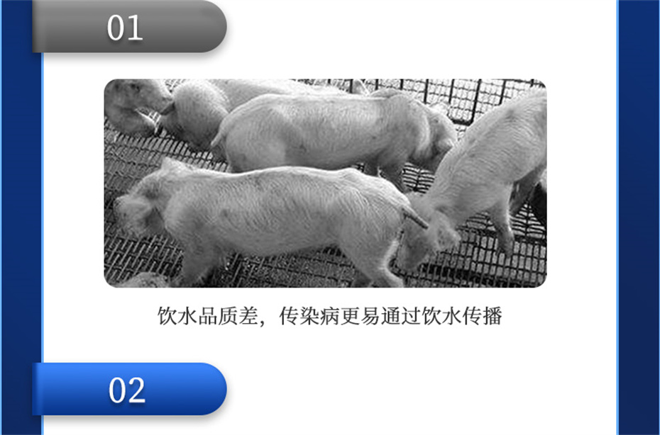 188金宝搏安卓下载动保猪饲料添加剂爱特酸产品介绍