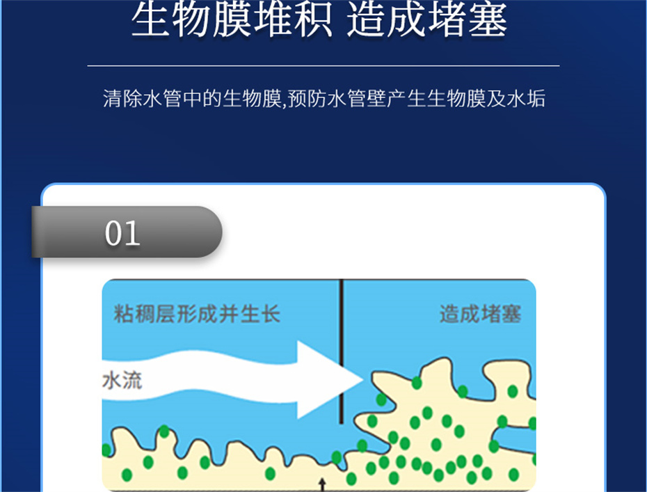 188金宝搏安卓下载动保猪饲料添加剂爱特酸产品介绍