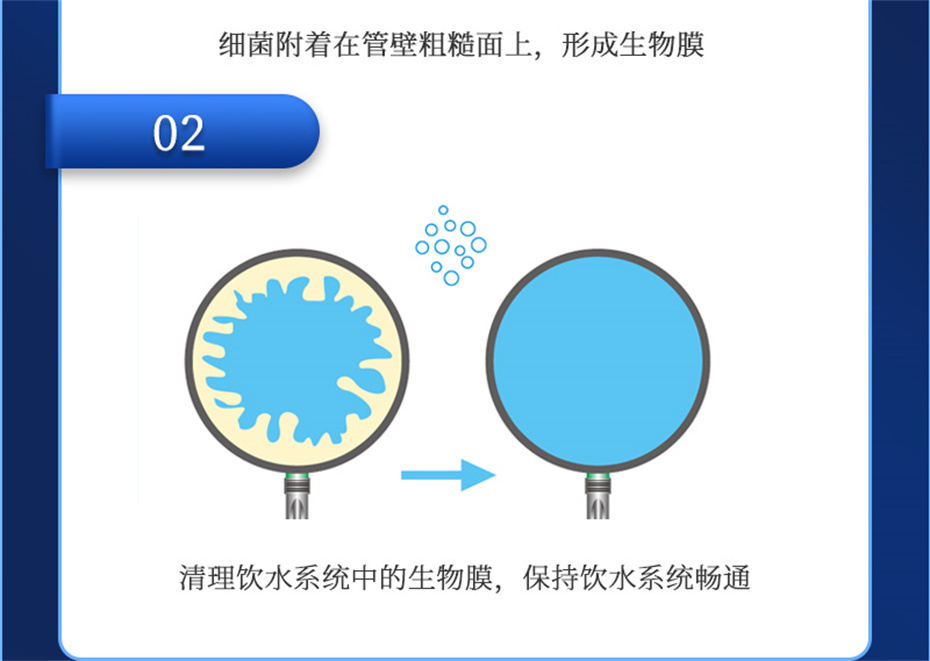 188金宝搏安卓下载动保猪饲料添加剂爱特酸产品介绍