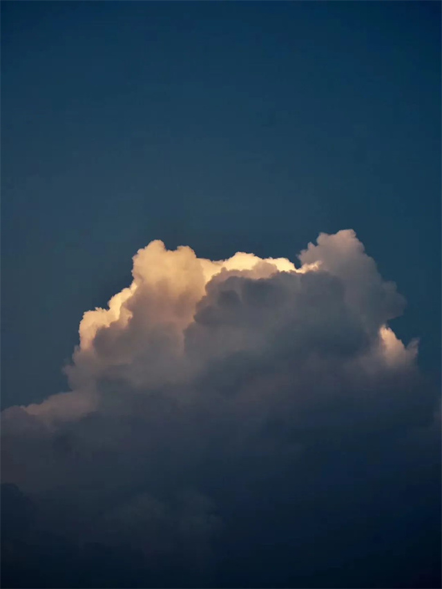 188金宝搏安卓下载摄影大赛作品《心动》