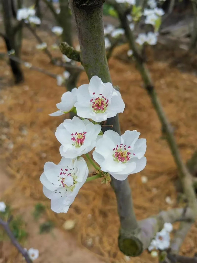 188金宝搏安卓下载摄影大赛作品《心动瞬间》