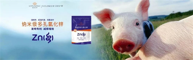 188金宝搏安卓下载多孔氧化锌