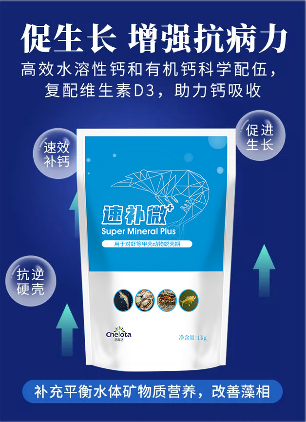 188金宝搏安卓下载速补微+