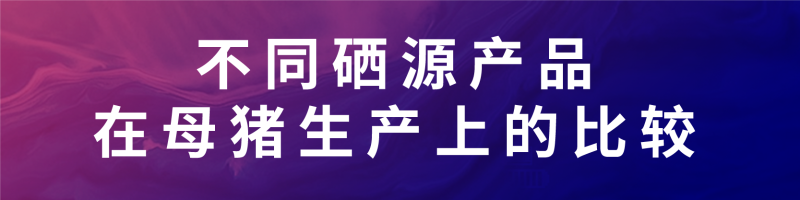 文章标题标注-04