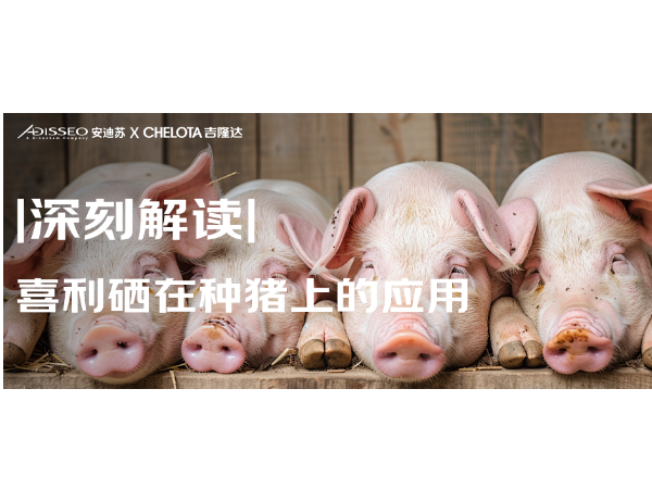 深刻解读 | 喜利硒在种猪上的应用