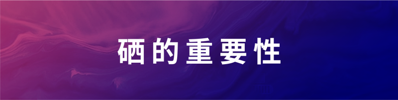 文章标题标注-06