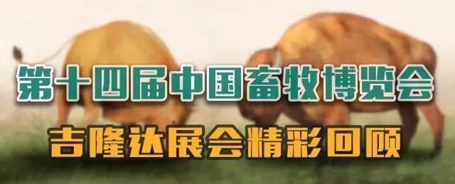 188金宝搏安卓下载参展中国畜牧博览会