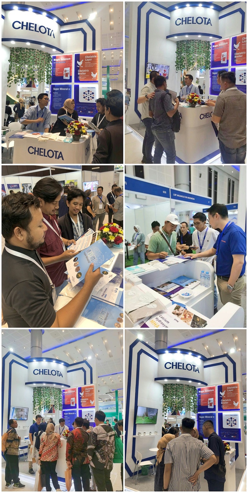 印尼畜牧展览会188金宝搏安卓下载展位情况