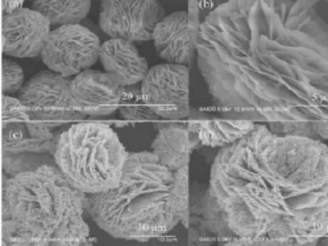 188金宝搏安卓下载整肠锌