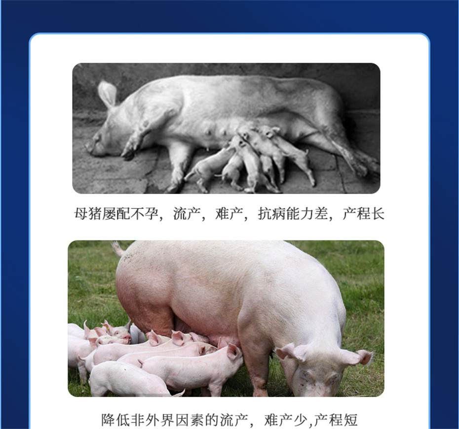 188金宝搏安卓下载动保猪饲料添加剂健立血产品介绍