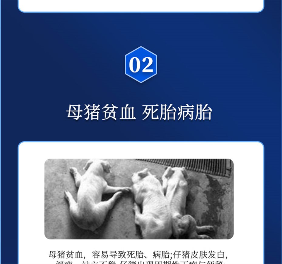 188金宝搏安卓下载动保猪饲料添加剂健立血产品介绍