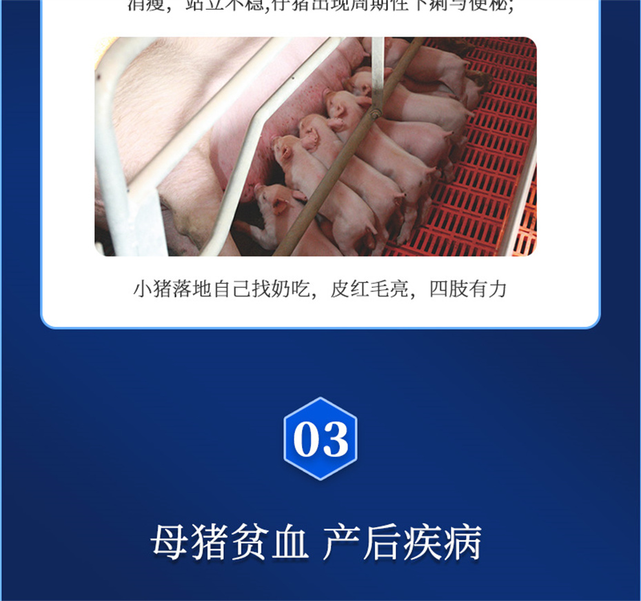 188金宝搏安卓下载动保猪饲料添加剂健立血产品介绍