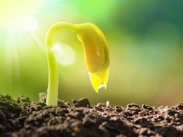 188金宝搏安卓下载