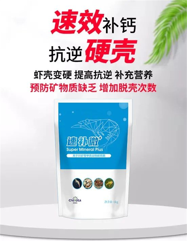 188金宝搏安卓下载速补微+