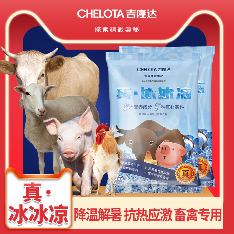 188金宝搏安卓下载动保冰冰凉