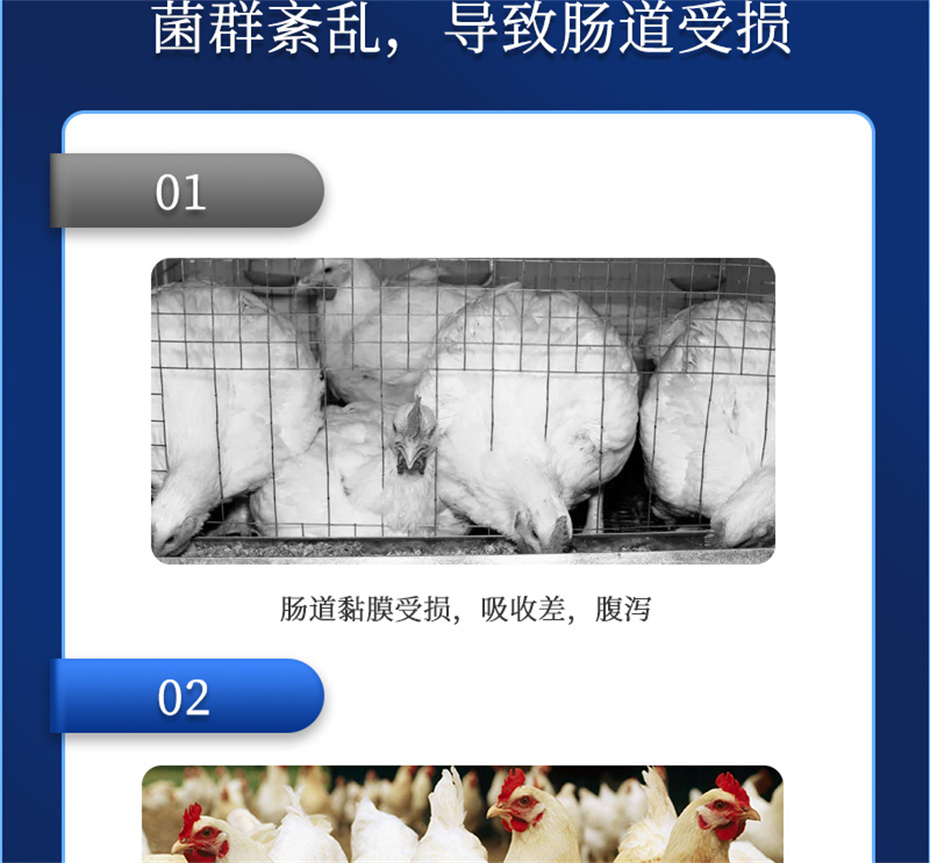 188金宝搏安卓下载动保饲料添加剂吉生元产品介绍