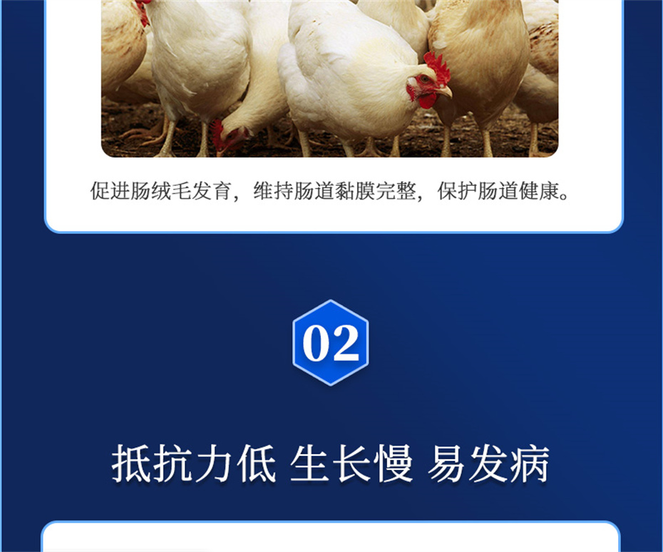 188金宝搏安卓下载动保饲料添加剂吉生元产品介绍