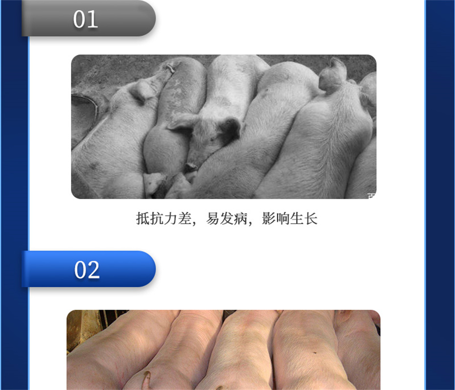 188金宝搏安卓下载动保饲料添加剂吉生元产品介绍