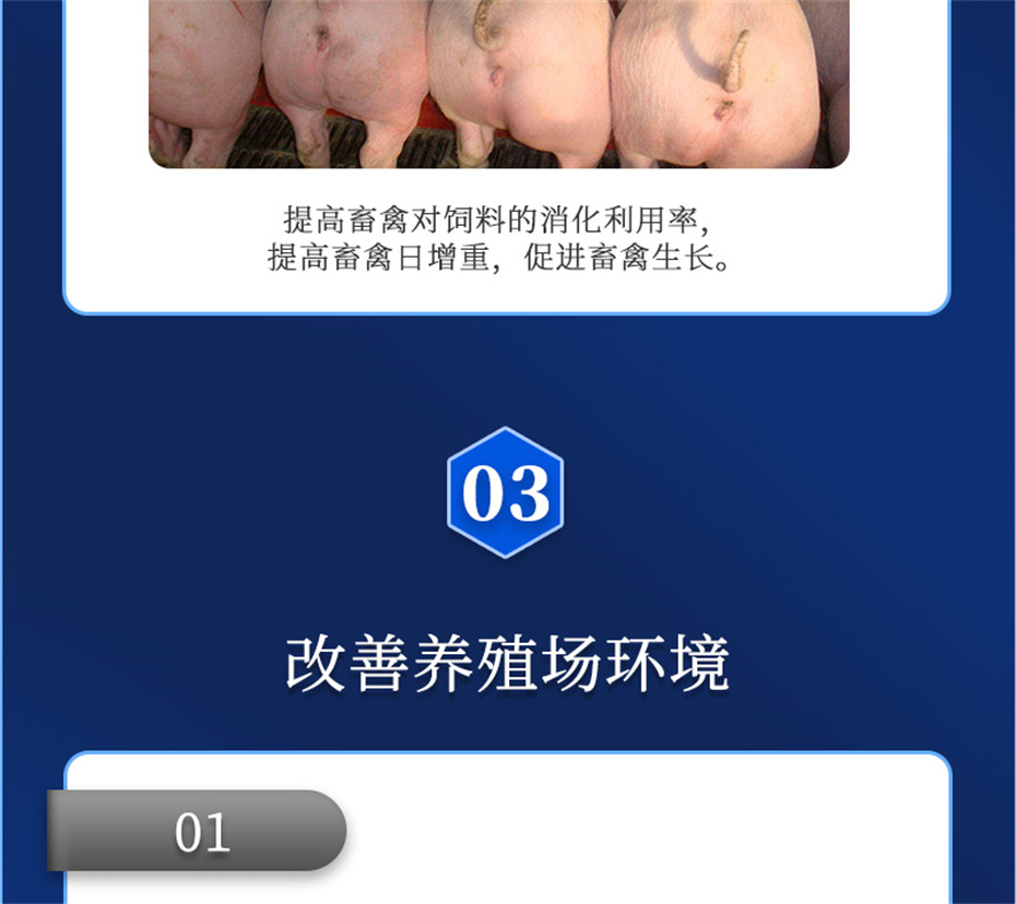 188金宝搏安卓下载动保饲料添加剂吉生元产品介绍