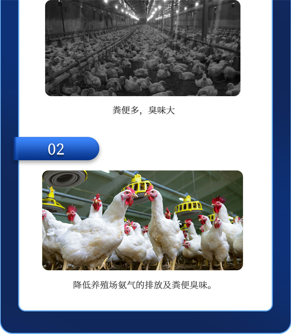 188金宝搏安卓下载动保饲料添加剂吉生元产品介绍